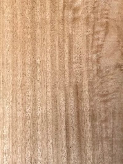 White Stringybark - Globoidea