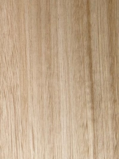 Southern Blue Gum - Globulus