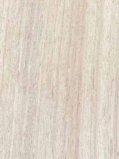 Eucalyptus Blackbutt